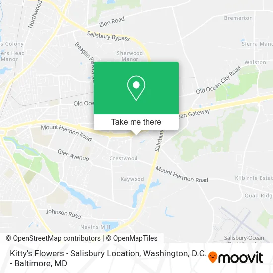 Kitty's Flowers - Salisbury Location map
