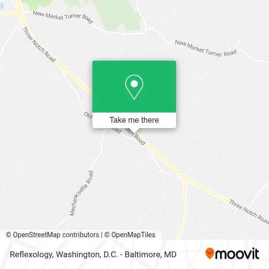 Reflexology map