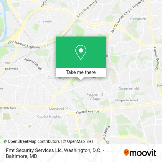 Fmt Security Services Llc map