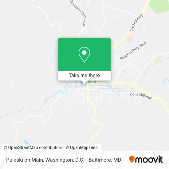 Pulaski on Main map