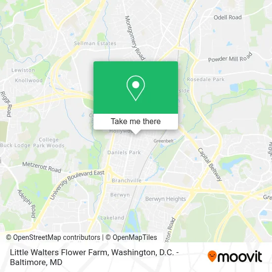 Little Walters Flower Farm map