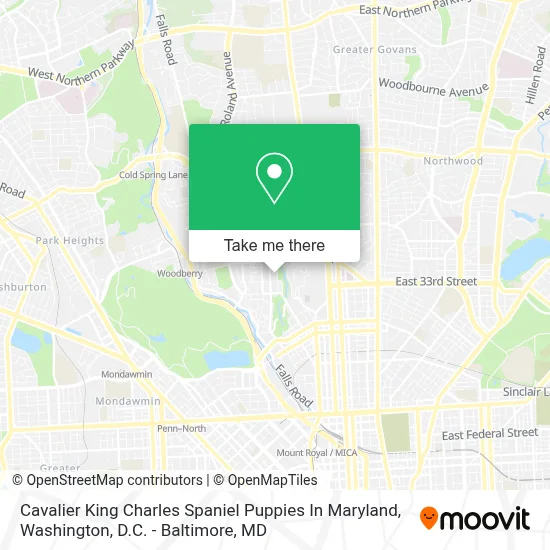 Cavalier King Charles Spaniel Puppies In Maryland map