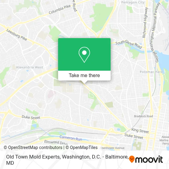 Old Town Mold Experts map