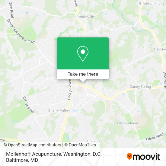 Mollenhoff Acupuncture map