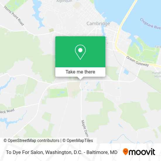 To Dye For Salon map