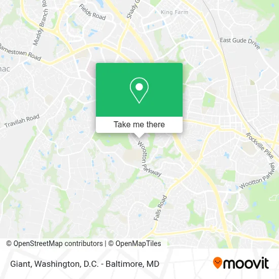 Giant map