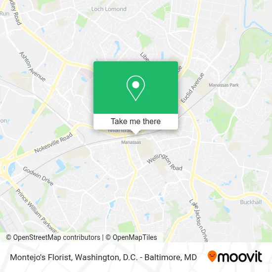 Montejo's Florist map