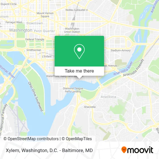 Xylem map