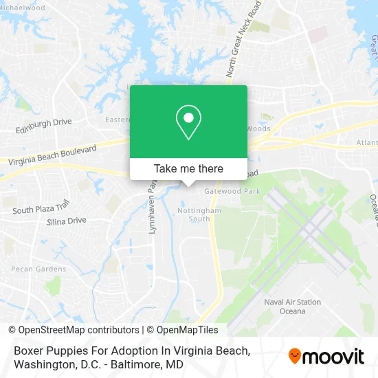 Boxer Puppies For Adoption In Virginia Beach map
