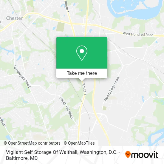Vigilant Self Storage Of Walthall map