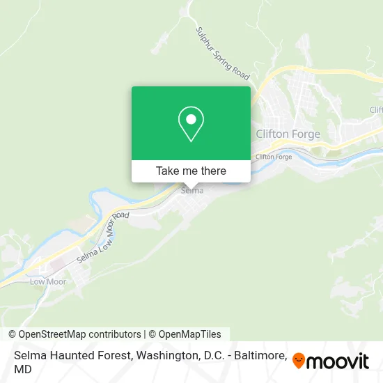 Selma Haunted Forest map