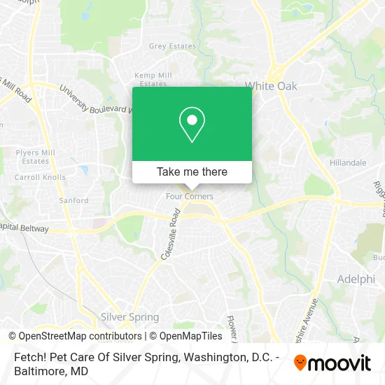 Fetch! Pet Care Of Silver Spring map