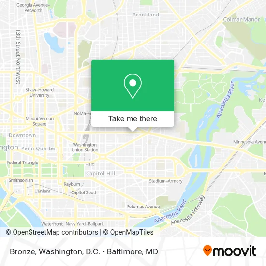 Bronze map