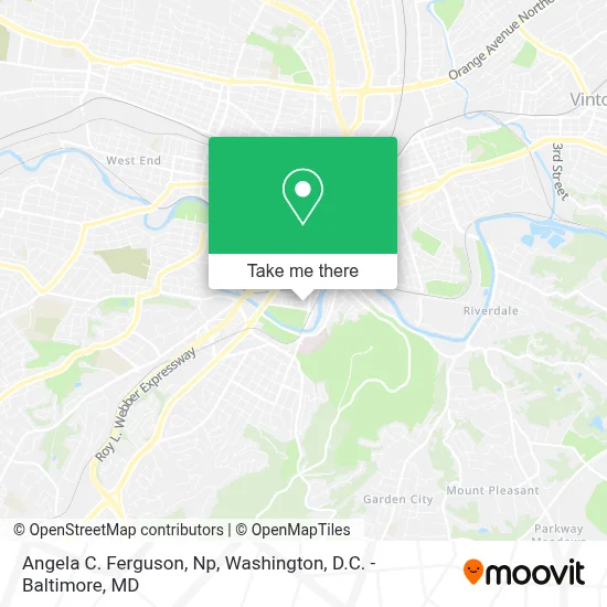Angela C. Ferguson, Np map