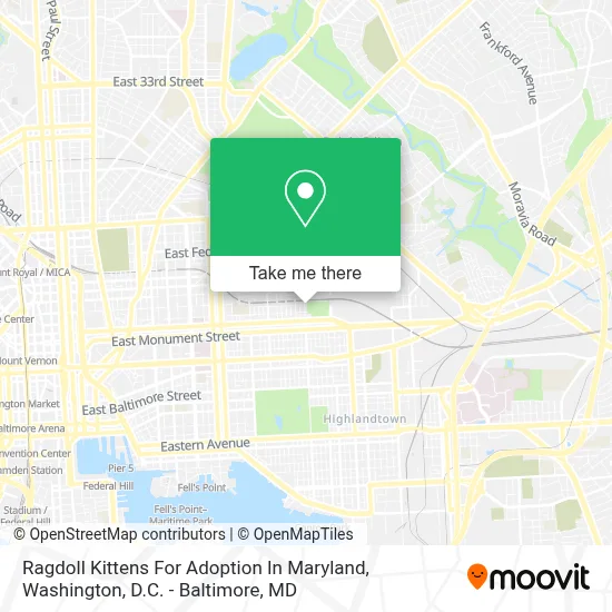Ragdoll Kittens For Adoption In Maryland map