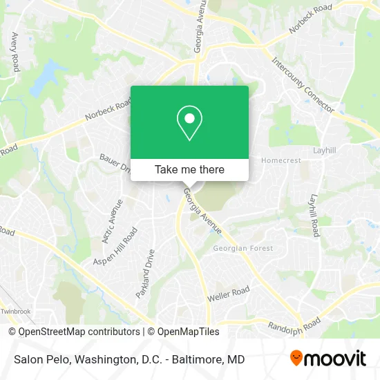 Salon Pelo map
