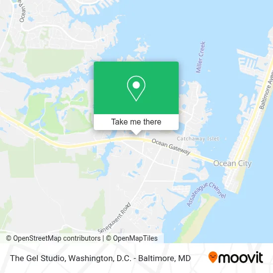 The Gel Studio map