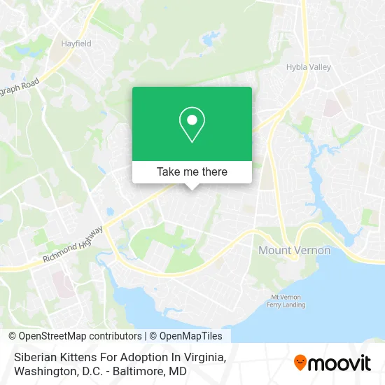 Siberian Kittens For Adoption In Virginia map