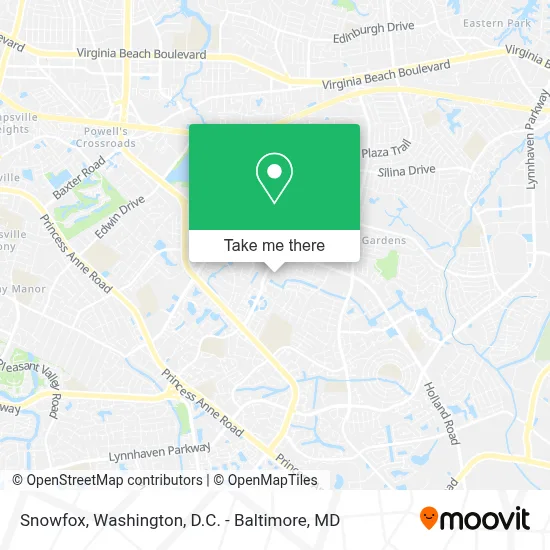 Snowfox map