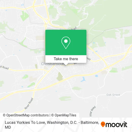 Lucas Yorkies To Love map