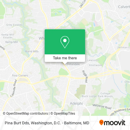 Pina Burt Dds map