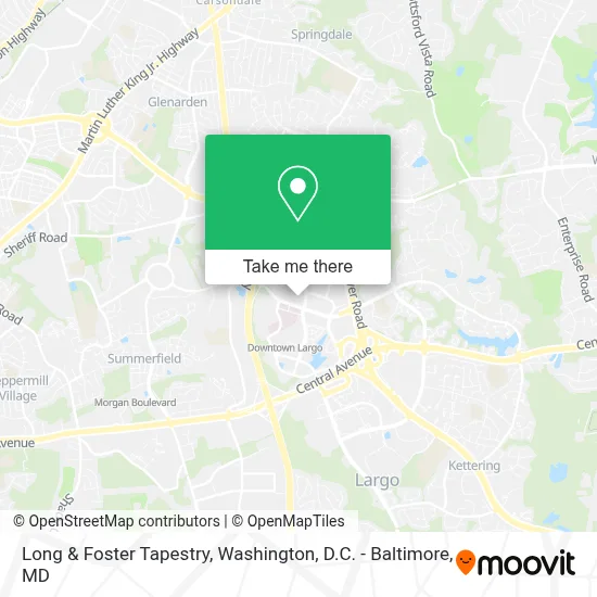 Long & Foster Tapestry map