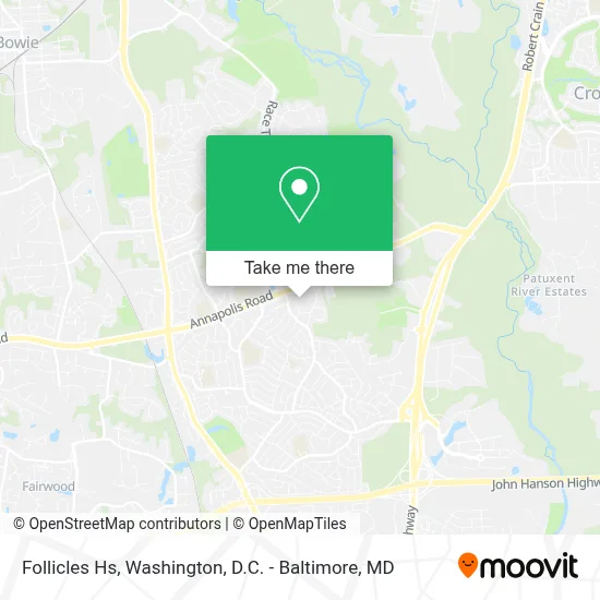 Follicles Hs map