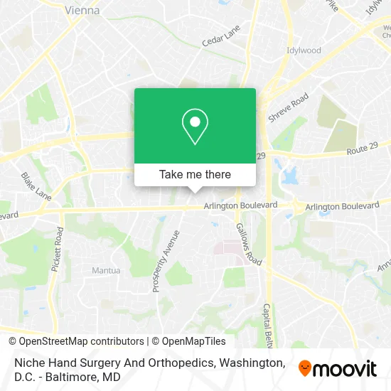 Niche Hand Surgery And Orthopedics map