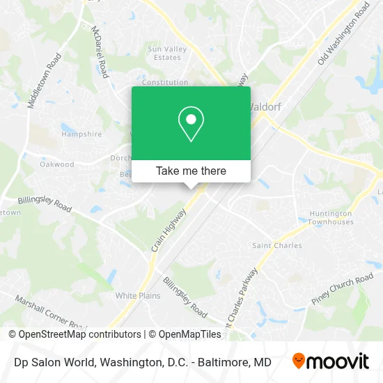 Dp Salon World map