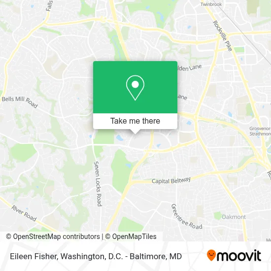 Eileen Fisher map