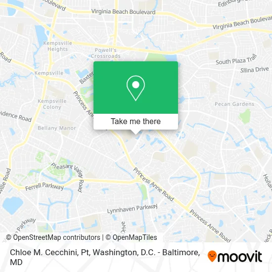 Chloe M. Cecchini, Pt map