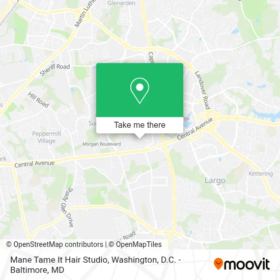 Mane Tame It Hair Studio map