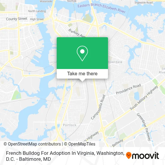 French Bulldog For Adoption In Virginia map