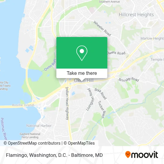 Flamingo map