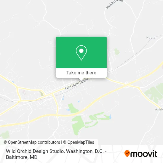 Wild Orchid Design Studio map