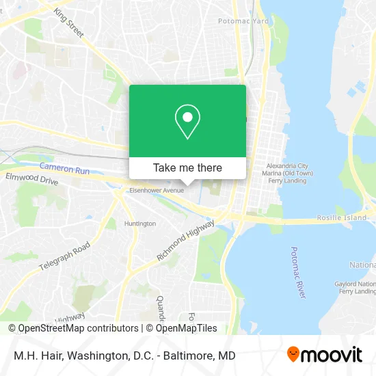M.H. Hair map
