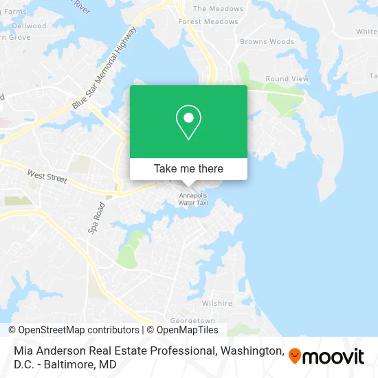 Mia Anderson Real Estate Professional map