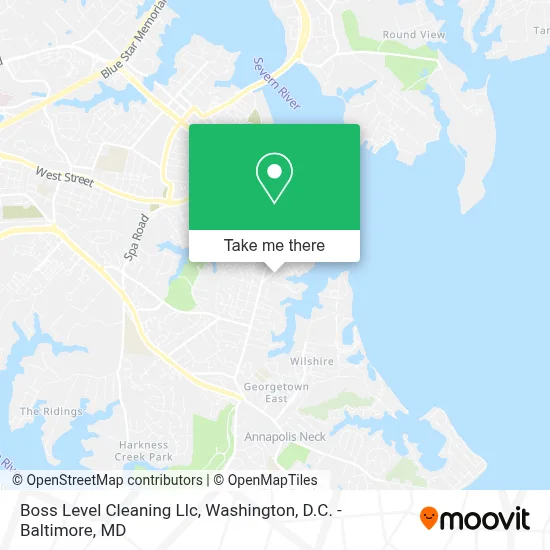 Boss Level Cleaning Llc map
