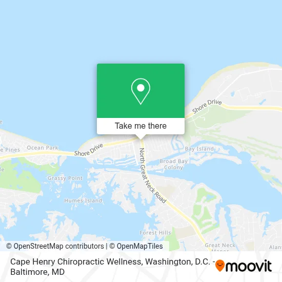 Cape Henry Chiropractic Wellness map