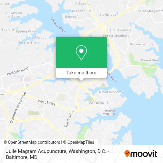 Julie Magram Acupuncture map
