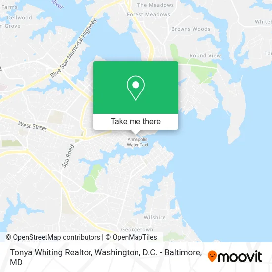 Tonya Whiting Realtor map