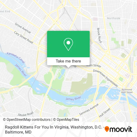 Ragdoll Kittens For You In Virginia map