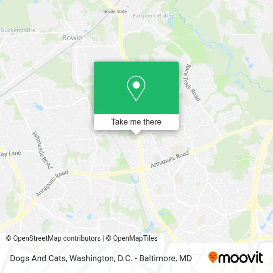 Dogs And Cats map