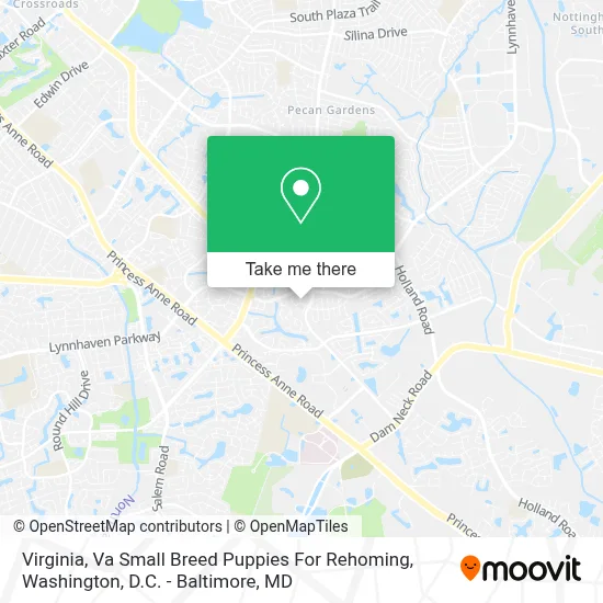 Virginia, Va Small Breed Puppies For Rehoming map