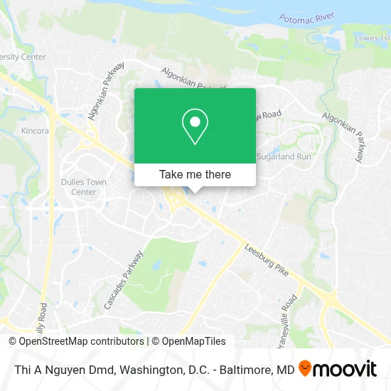 Thi A Nguyen Dmd map