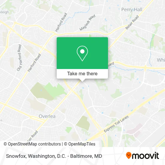 Snowfox map