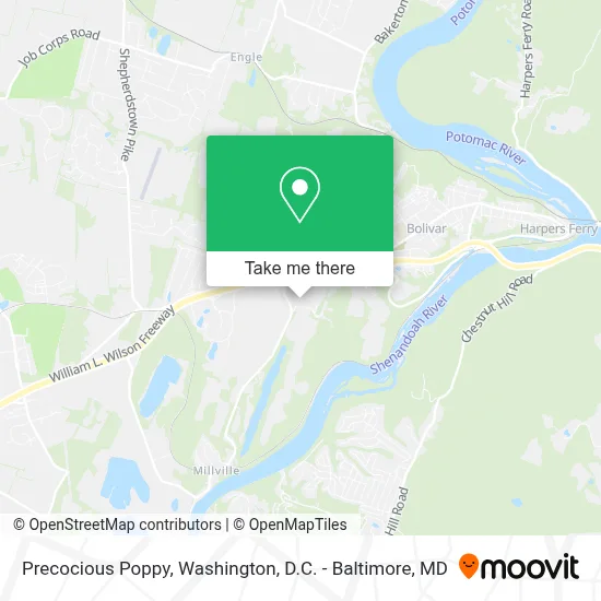 Precocious Poppy map