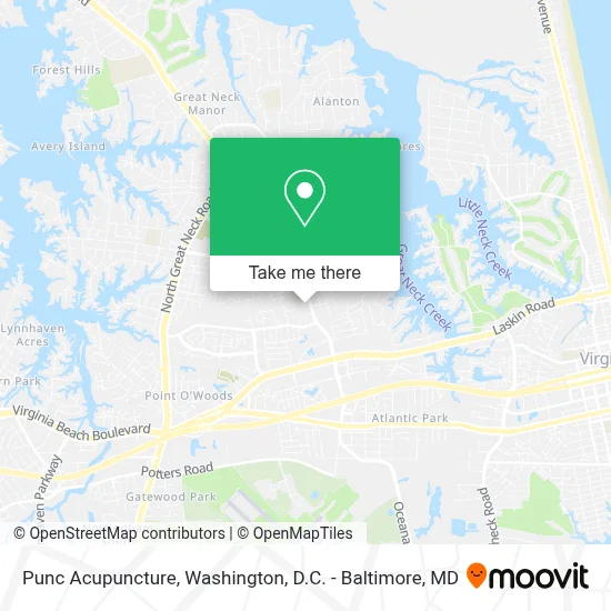 Punc Acupuncture map