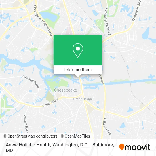 Anew Holistic Health map