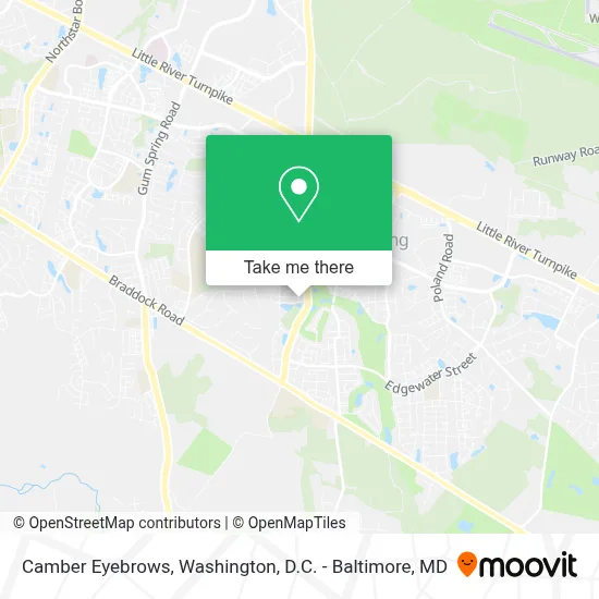 Camber Eyebrows map